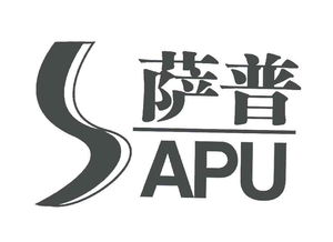 杜明新 工商信息、信用報告、財務報表與聯系方式的全面解析