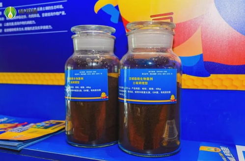 植知源豆磷脂肥 專訪臨沂明英工貿產品總監莊彥明，解讀大豆如何“變身”綠色肥料